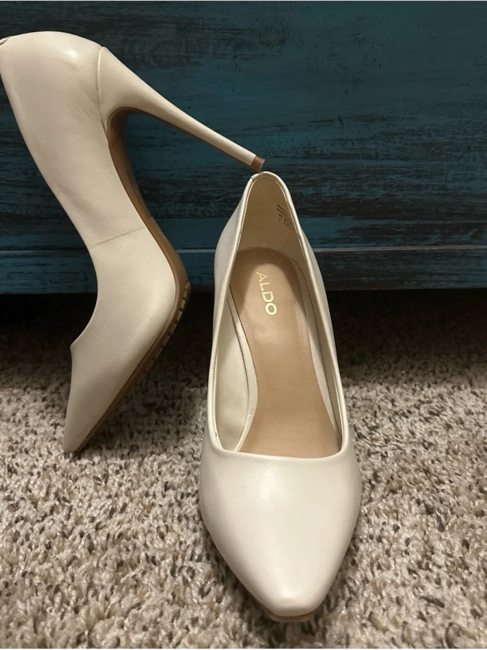Aldo classic pointed